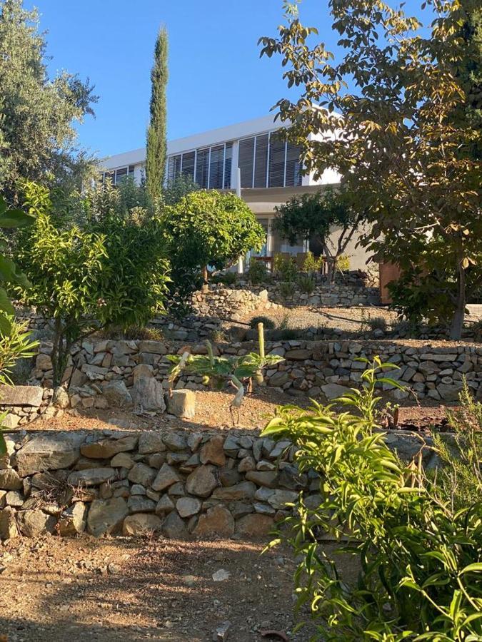 Luxury Villa Pluto Stunning Mountain Views Ora Exterior photo